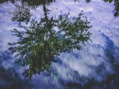 cat 320 excavator bucket