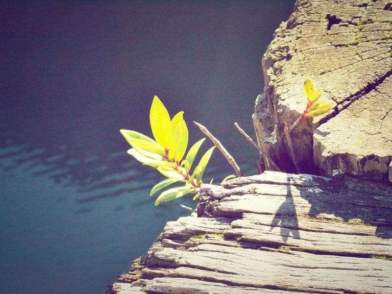 delineator drums main